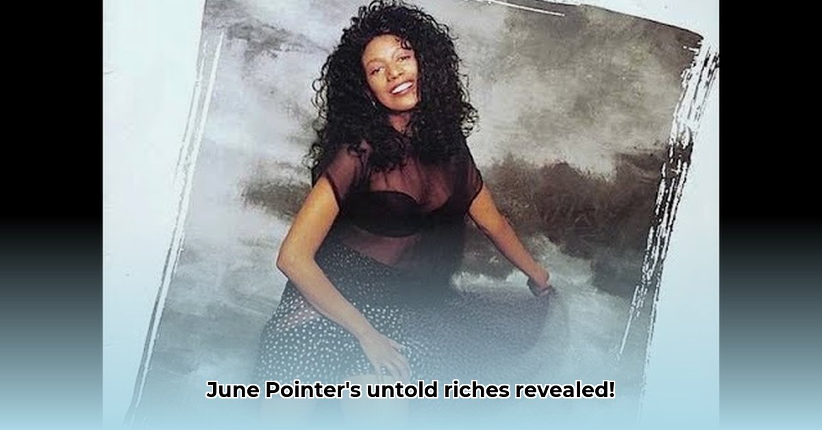 june-pointer-net-worth